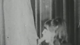 Retro beautiful babe sucks huge cock before it smashes her unshaved cunt