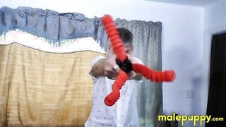 Your dominant bosa Richard Lennox slaps you while pounding your hole mercilessly