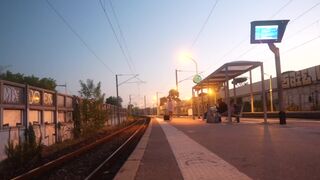 Miss Alice Wild tames the pack...